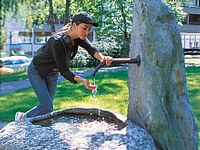 Brunnen in Gemeindepark