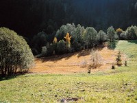 Riedfläche in der die Schwefelquelle entspringt