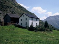 Kleinzeinis am Weg nach Galtür