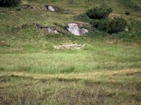 Pestloch zwischen Wiege und Verbella