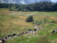 Übergangsmoor als Auftakt zur Wiege