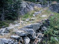 Steinplatten fügen sich zu einem breiten Weg