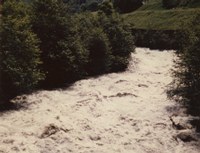 Stark angeschwollene Ill nach einem Unwetter.