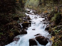 "listen quietly to rushing water, get closer to the elementary power, be accompanied by the torrent's breath"
