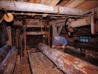 Sawyer preparing a log for the cut
