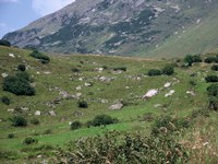 Mountain pastures in Galtuer