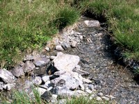 Mica slate divides the water
