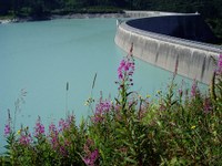 Dam at the Kops reservoir


