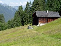 Meadow mosaic on the Aussertafamunt
