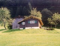 The May field is part of the typical 3 tier farming in the Montafon.