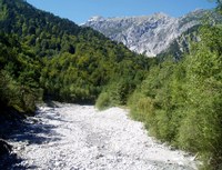 The Mustergiel Brook in peaceful times.
