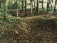 overgrown sink hole in the Kristberg forest